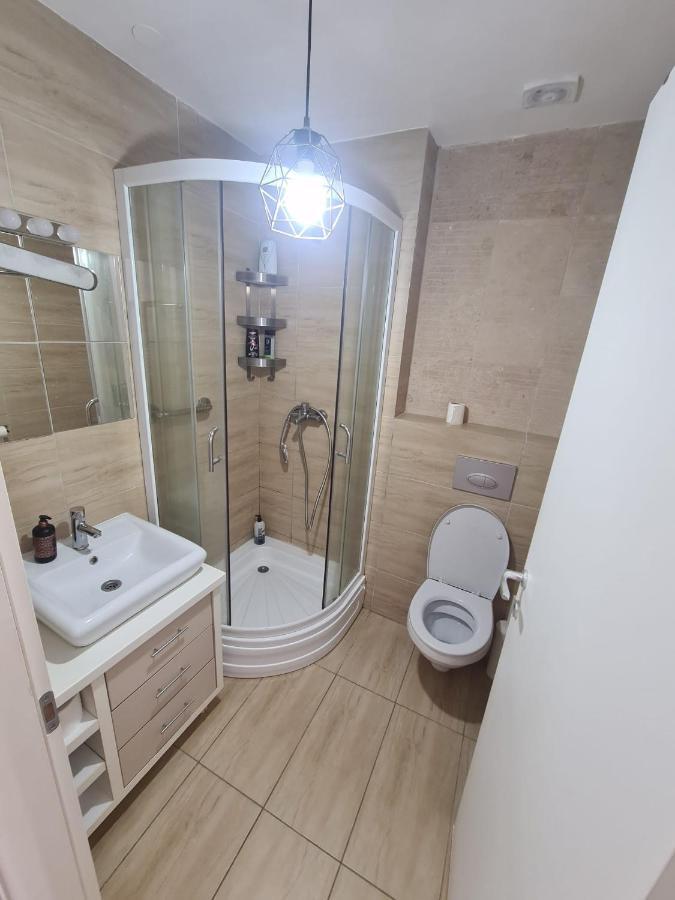 Cosmopolis Studio 1 Stefanestii de Jos Εξωτερικό φωτογραφία